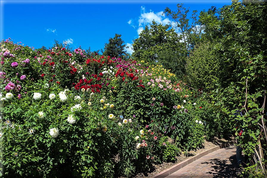 foto Giardini Trauttmansdorff - Paesaggi dell'Alto Adige